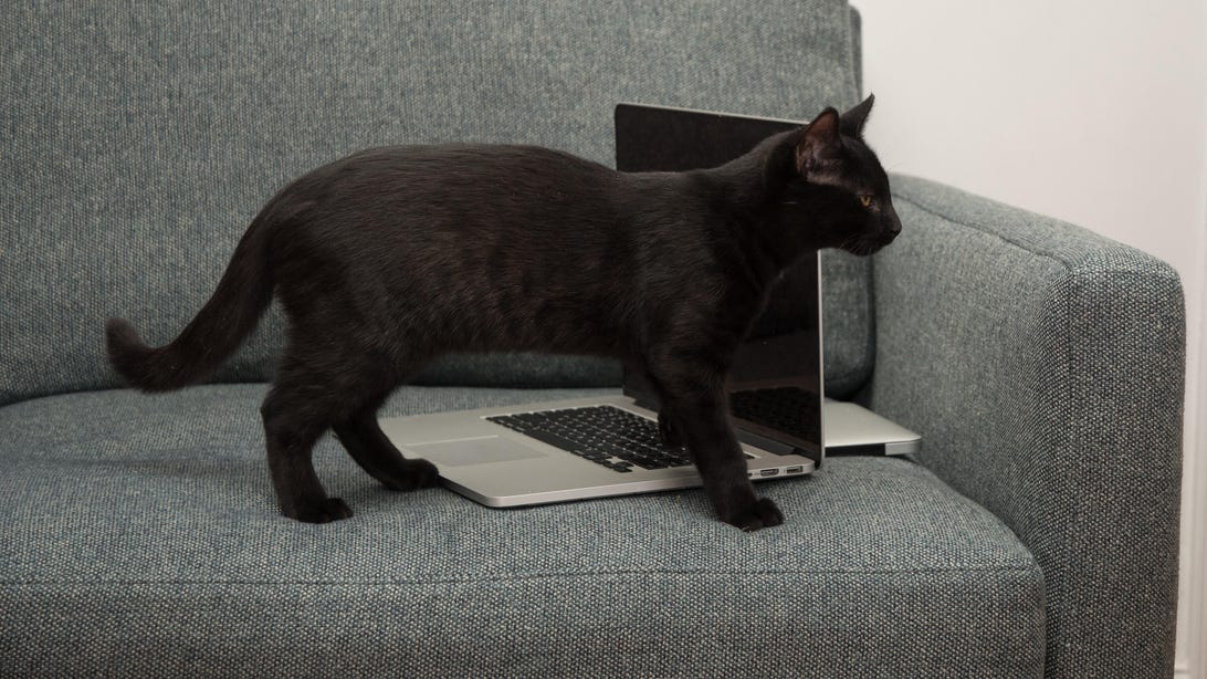 laptop-nono